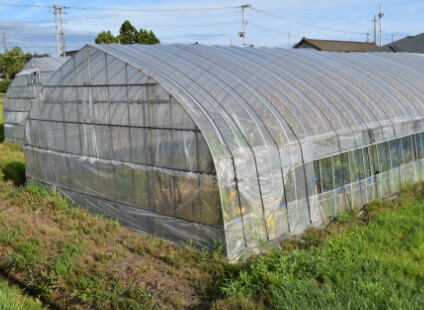 グリーンハウスのポリカ版